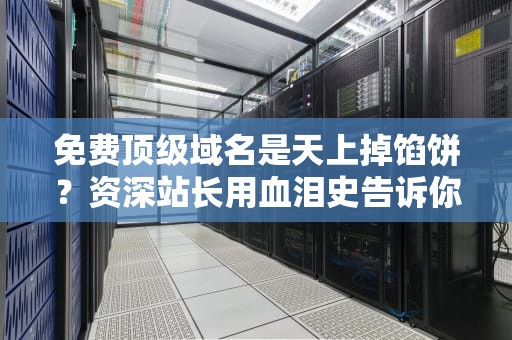免费顶级域名是天上掉馅饼？资深站长用血泪史告诉你这5个残酷真相