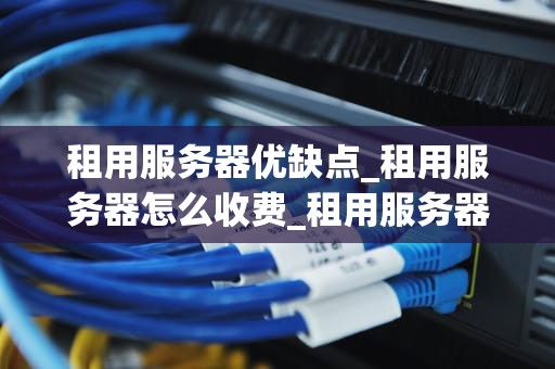 租用服务器优缺点_租用服务器怎么收费_租用服务器的优缺点分析
