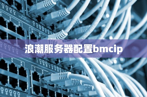 浪潮服务器配置bmcip