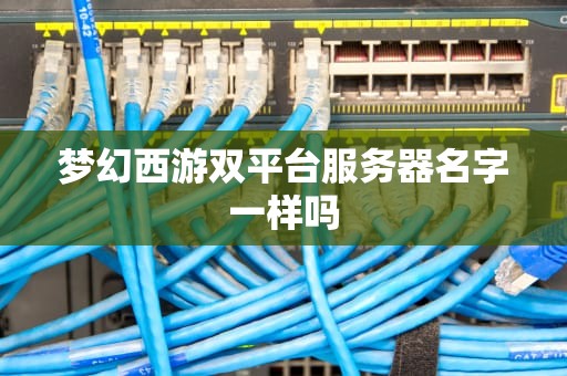 梦幻西游双平台服务器名字一样吗