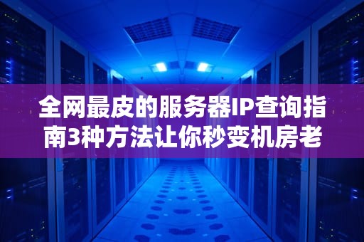 全网最皮的服务器IP查询指南3种方法让你秒变机房老司机