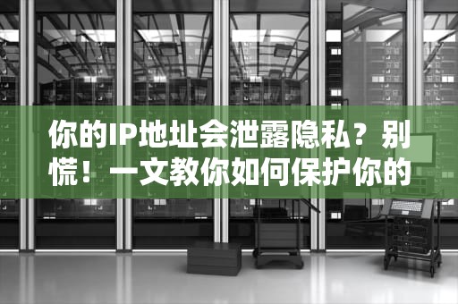 你的IP地址会泄露隐私？别慌！一文教你如何保护你的网络身份证