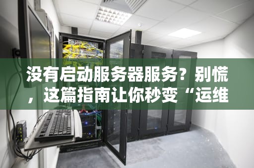 没有启动服务器服务？别慌，这篇指南让你秒变“运维大神”！