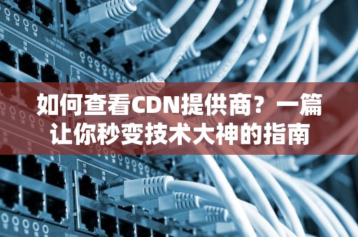 如何查看CDN提供商？一篇让你秒变技术大神的指南