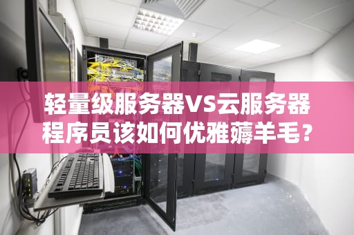 轻量级服务器VS云服务器程序员该如何优雅薅羊毛？