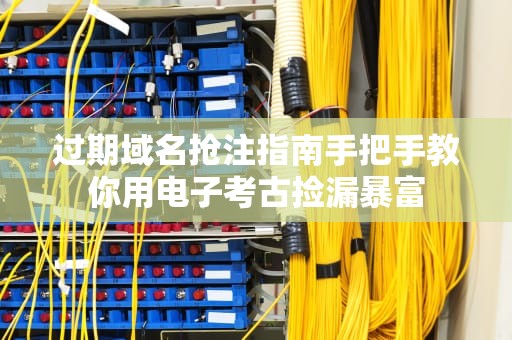 过期域名抢注指南手把手教你用电子考古捡漏暴富