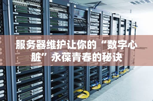 服务器维护让你的“数字心脏”永葆青春的秘诀