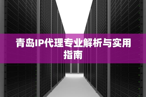 青岛IP代理专业解析与实用指南