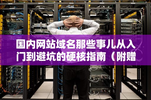 国内网站域名那些事儿从入门到避坑的硬核指南（附赠老司机翻车实录）