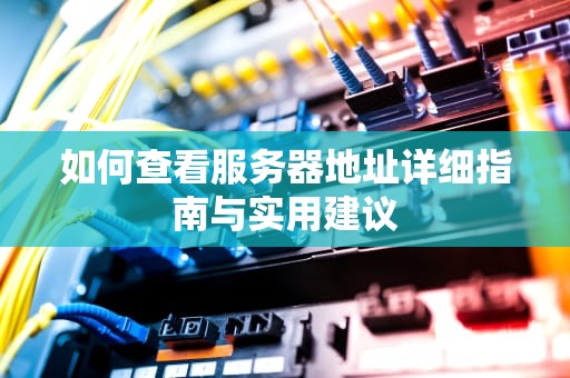 如何查看服务器地址详细指南与实用建议