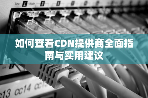 如何查看CDN提供商全面指南与实用建议