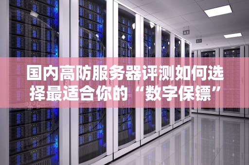 国内高防服务器评测如何选择最适合你的“数字保镖”？