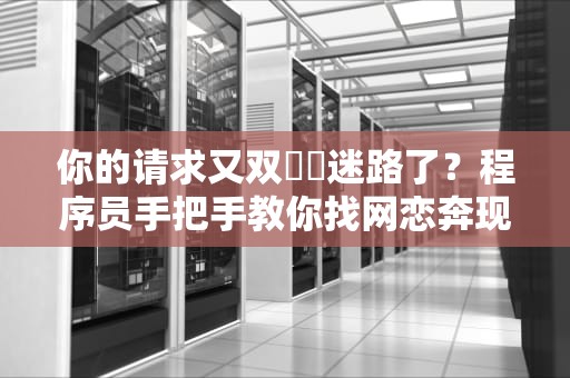 你的请求又双叒叕迷路了？程序员手把手教你找网恋奔现失败真相