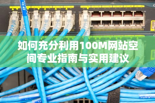 如何充分利用100M网站空间专业指南与实用建议