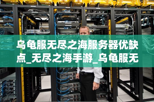 乌龟服无尽之海服务器优缺点_无尽之海手游_乌龟服无尽之海服务器优缺点分析