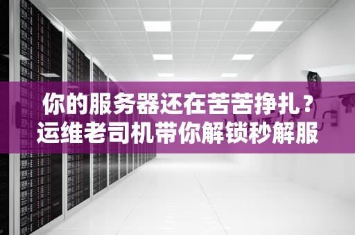 你的服务器还在苦苦挣扎？运维老司机带你解锁秒解服务器的终极奥义！