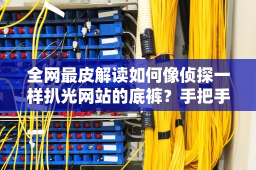 全网最皮解读如何像侦探一样扒光网站的底裤？手把手教你查备案信息