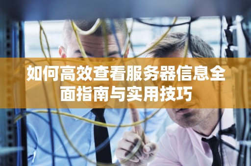 如何高效查看服务器信息全面指南与实用技巧