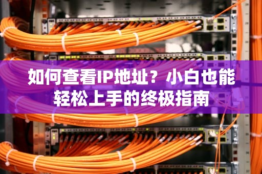 如何查看IP地址？小白也能轻松上手的终极指南