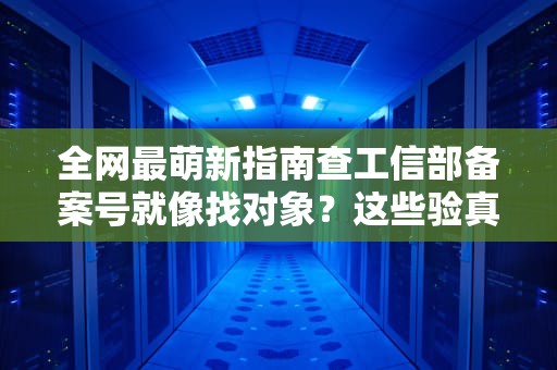 全网最萌新指南查工信部备案号就像找对象？这些验真技巧必须懂！