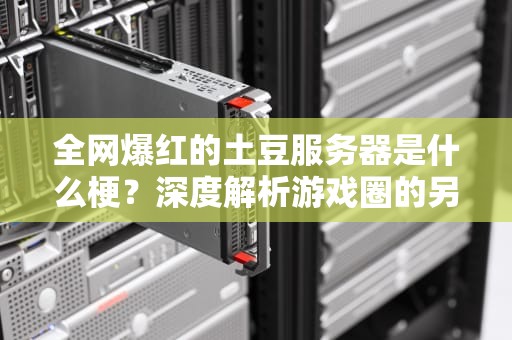 全网爆红的土豆服务器是什么梗？深度解析游戏圈的另类黑话文化