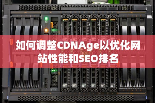 如何调整CDNAge以优化网站性能和SEO排名