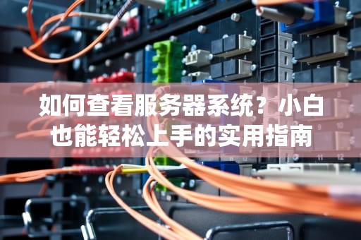 如何查看服务器系统？小白也能轻松上手的实用指南
