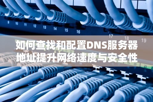 如何查找和配置DNS服务器地址提升网络速度与安全性的实用指南