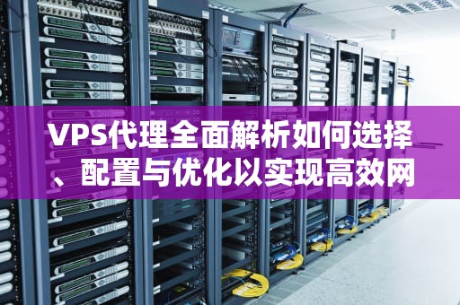 VPS代理全面解析如何选择、配置与优化以实现高效网络代理