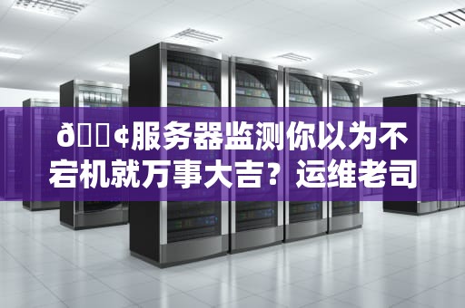 📢服务器监测你以为不宕机就万事大吉？运维老司机教你听懂服务器的黑话！