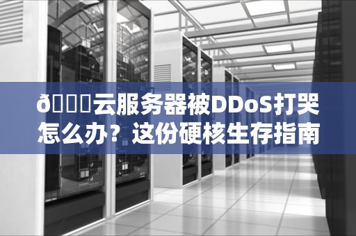 📖云服务器被DDoS打哭怎么办？这份硬核生存指南让黑客哭着转行📖