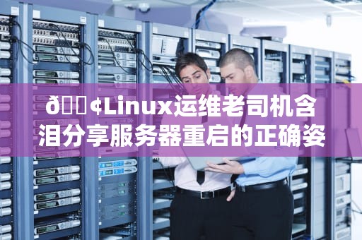 📢Linux运维老司机含泪分享服务器重启的正确姿势与避坑指南📢