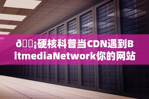 📡硬核科普当CDN遇到BitmediaNetwork你的网站为何突然起飞？这5个真实案例绝了！📡