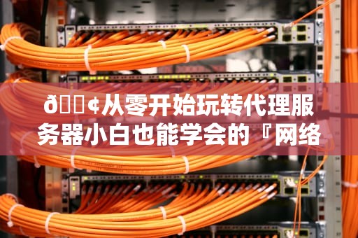 📢从零开始玩转代理服务器小白也能学会的『网络隐身术』📢