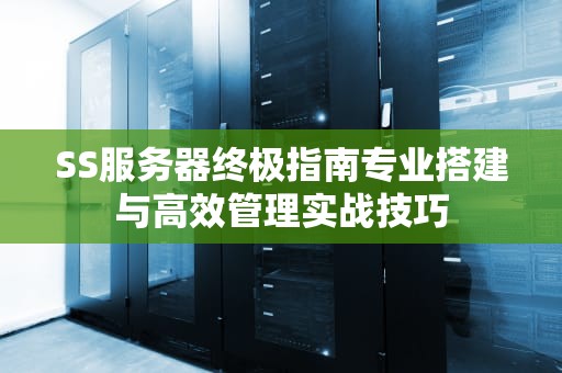 SS服务器终极指南专业搭建与高效管理实战技巧