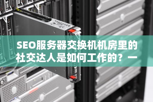 SEO服务器交换机机房里的社交达人是如何工作的？一文搞懂核心网络设备