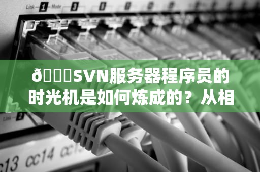 📖SVN服务器程序员的时光机是如何炼成的？从相亲式合并到佛系回滚全攻略