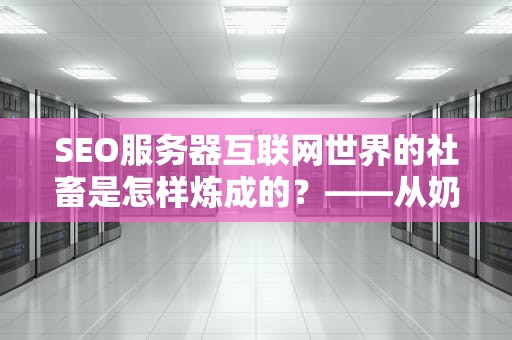SEO服务器互联网世界的社畜是怎样炼成的？——从奶茶店到双11的硬核生存指南