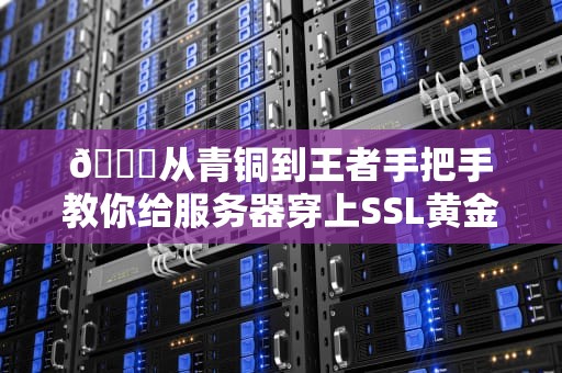 🔒从青铜到王者手把手教你给服务器穿上SSL黄金铠甲🔒