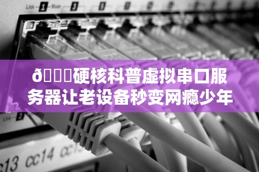 🔌硬核科普虚拟串口服务器让老设备秒变网瘾少年的黑科技原理解析