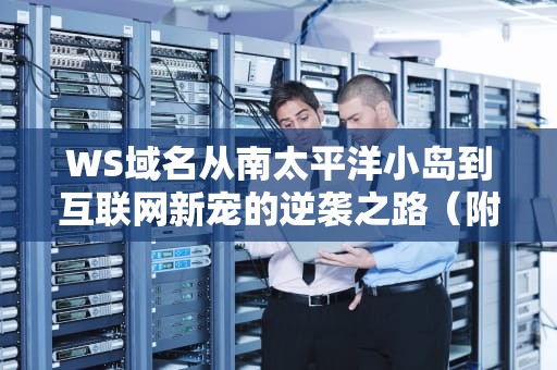 WS域名从南太平洋小岛到互联网新宠的逆袭之路（附隐藏玩法大揭秘）
