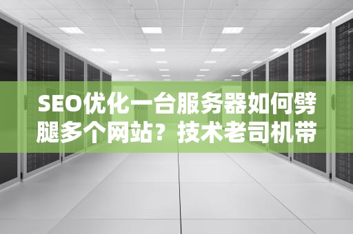 SEO优化一台服务器如何劈腿多个网站？技术老司机带你玩转一机多站骚操作