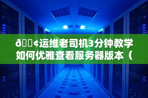 📢运维老司机3分钟教学如何优雅查看服务器版本（附翻车实录）📢