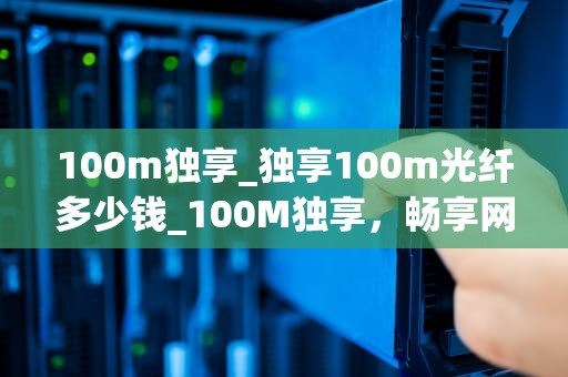 100m独享_独享100m光纤多少钱_100M独享，畅享网络新生活