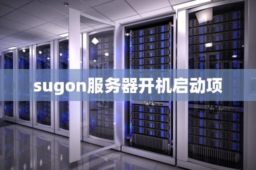 sugon服务器开机启动项