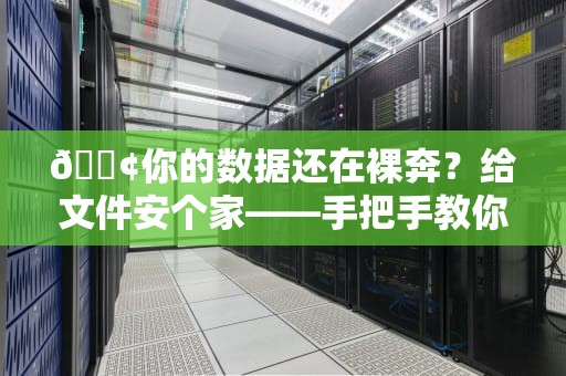 📢你的数据还在裸奔？给文件安个家——手把手教你打造家庭级本地服务器📢