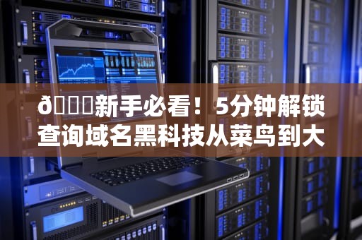 🔍新手必看！5分钟解锁查询域名黑科技从菜鸟到大神的避坑指南
