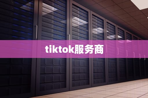 tiktok服务商