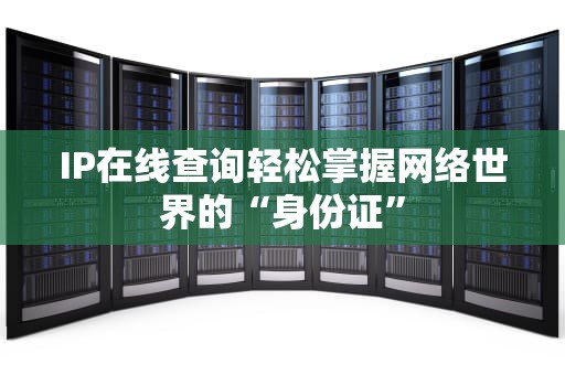 IP在线查询轻松掌握网络世界的“身份证”