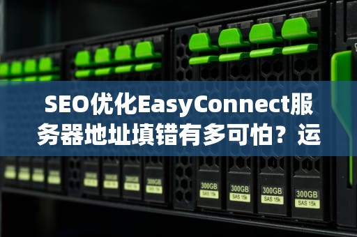 SEO优化EasyConnect服务器地址填错有多可怕？运维小哥含泪写下这份避坑指南